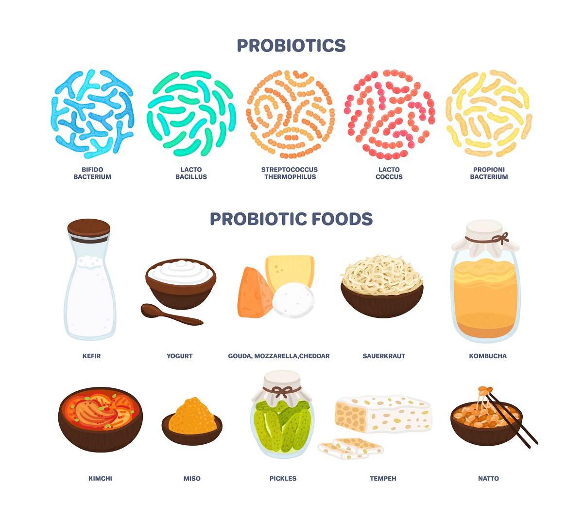 Probiotiká a zdravé baktérie v strave